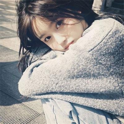 网恋诈骗复仇记