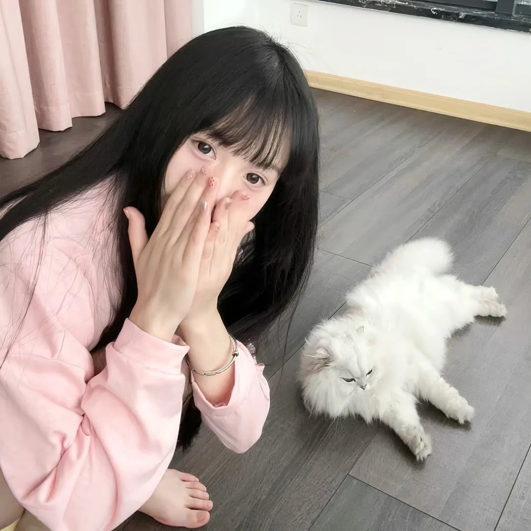 志愿军：雄兵出击